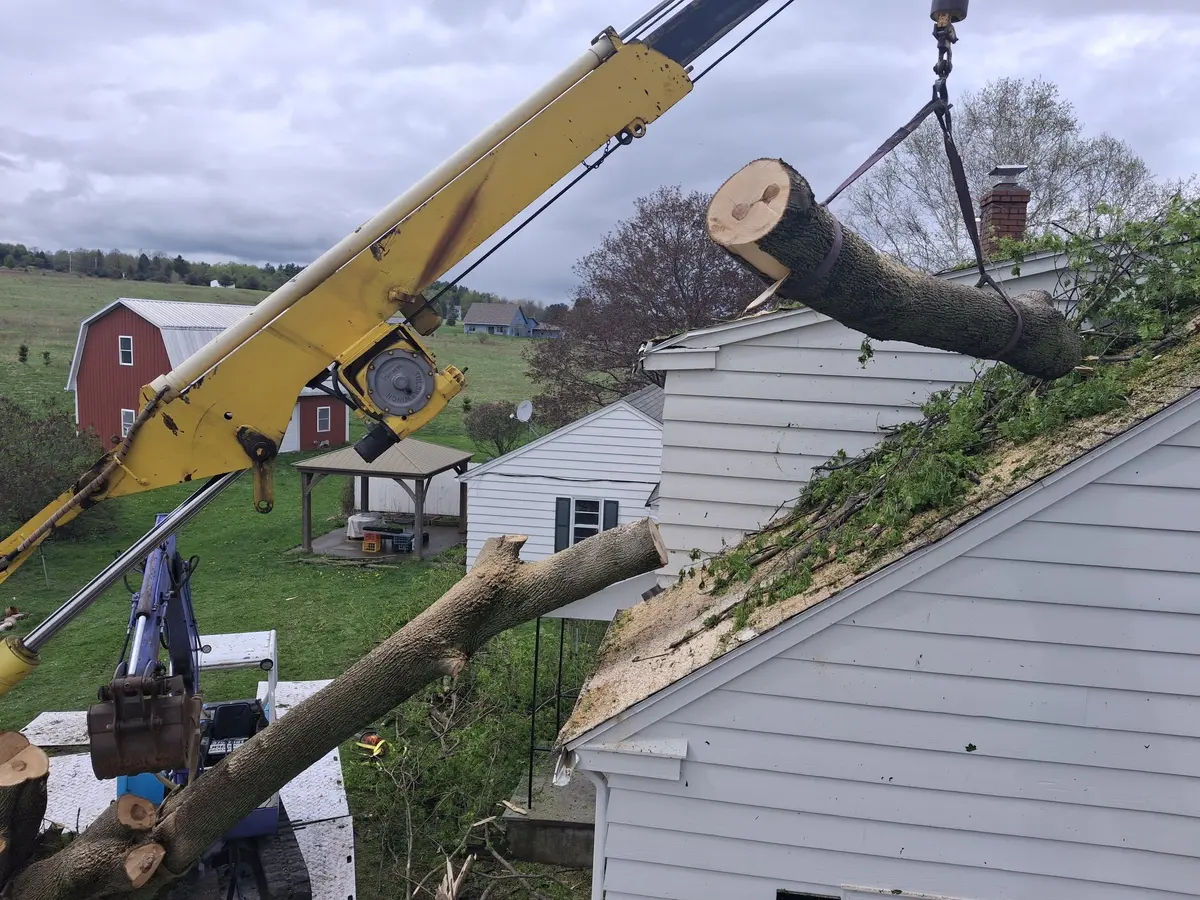 Tubbs Tree Service crane lifting a cut section of a fallen tree off a house roof